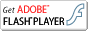 get Adobe Flash