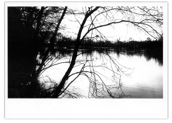 Art & Design Foundation Coursework - Black Park
