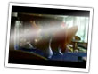 RecordingCoach screen shot